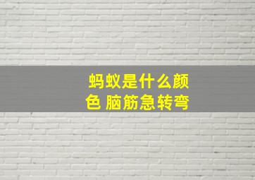 蚂蚁是什么颜色 脑筋急转弯